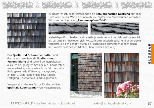 Bildansicht der Seite